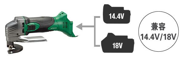Dual Voltage