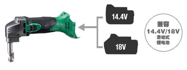 Dual Voltage